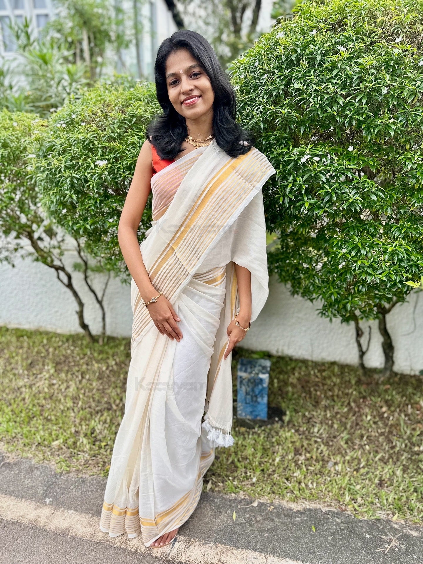 Kerala Kasav Stripe Border Mul Cotton Saree - MANKA