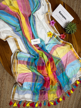 Rainbow Check Mul Cotton Saree