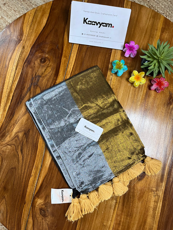 Gold & Black Raaga Tissue Silk Saree