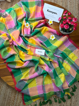 Rangamela Checks Saree