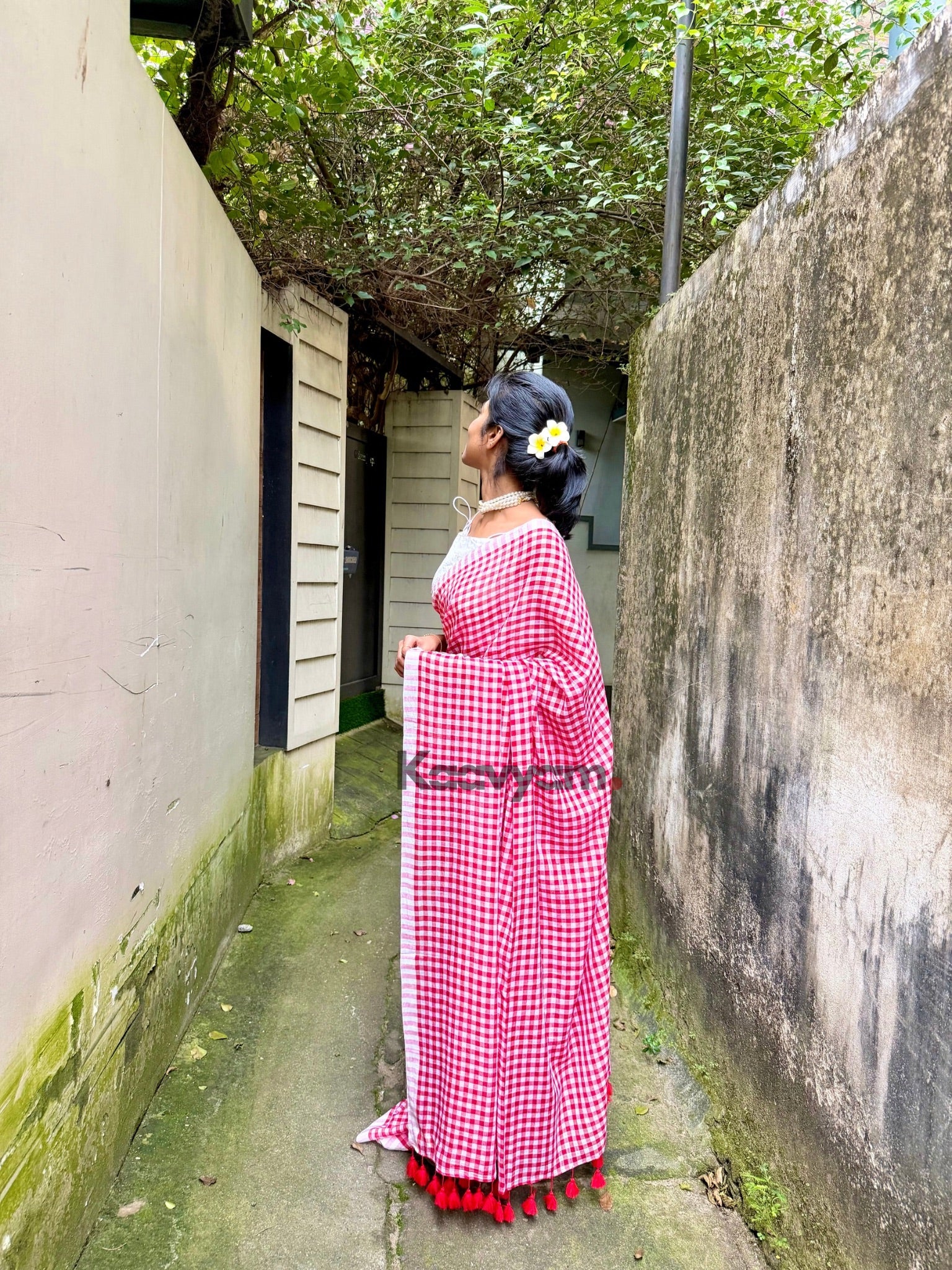 Checks Mul Cotton Saree