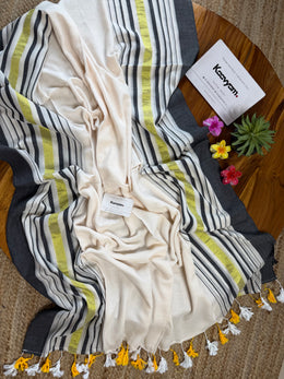 Multi Kara & Kasav Stripe Mul Cotton Saree