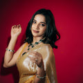 Raaga Tissue  Half Lace Saree