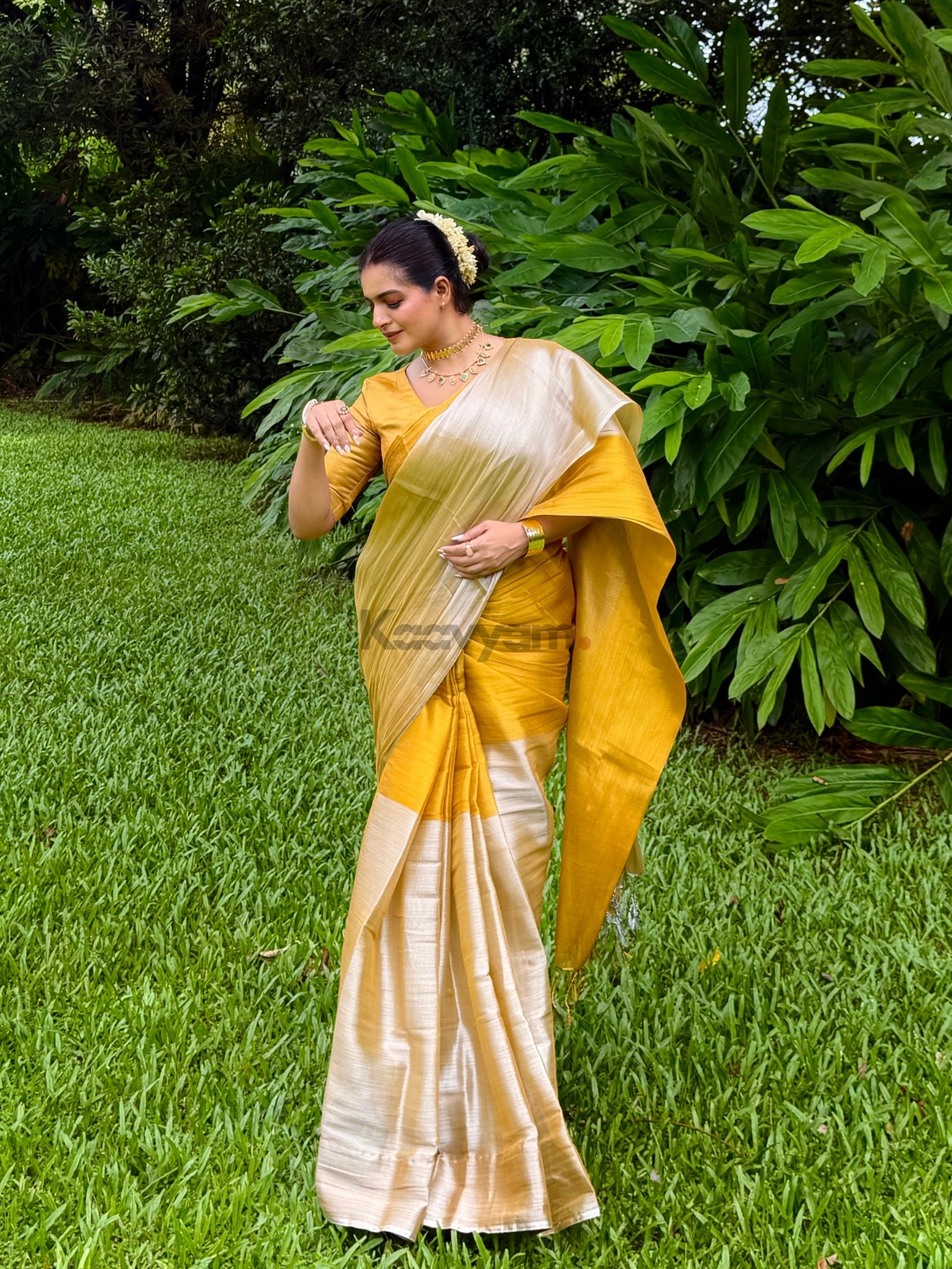 Half & Half Raaga Tissue Silk Saree