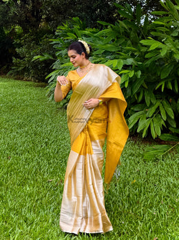 Half & Half Raaga Tissue Silk Saree