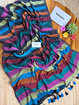 Rainbow Stripes Mulberry Cotton Saree