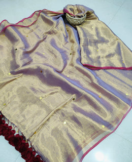 Tissue Sequins Saree with Big Tassels