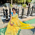Checks Maheshwari Silk Saree