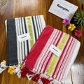Multi Kara & Kasav Stripe Mul Cotton Saree