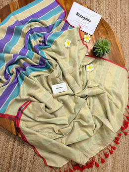 Melody Stripes Saree